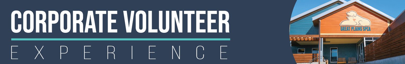 Corporate Volunteer Experience