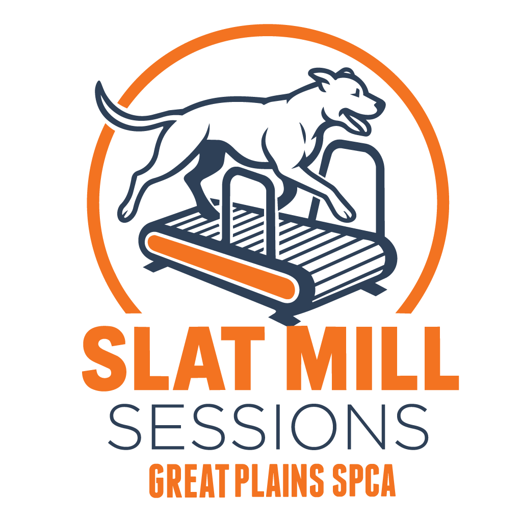 Slat Mill Sessions